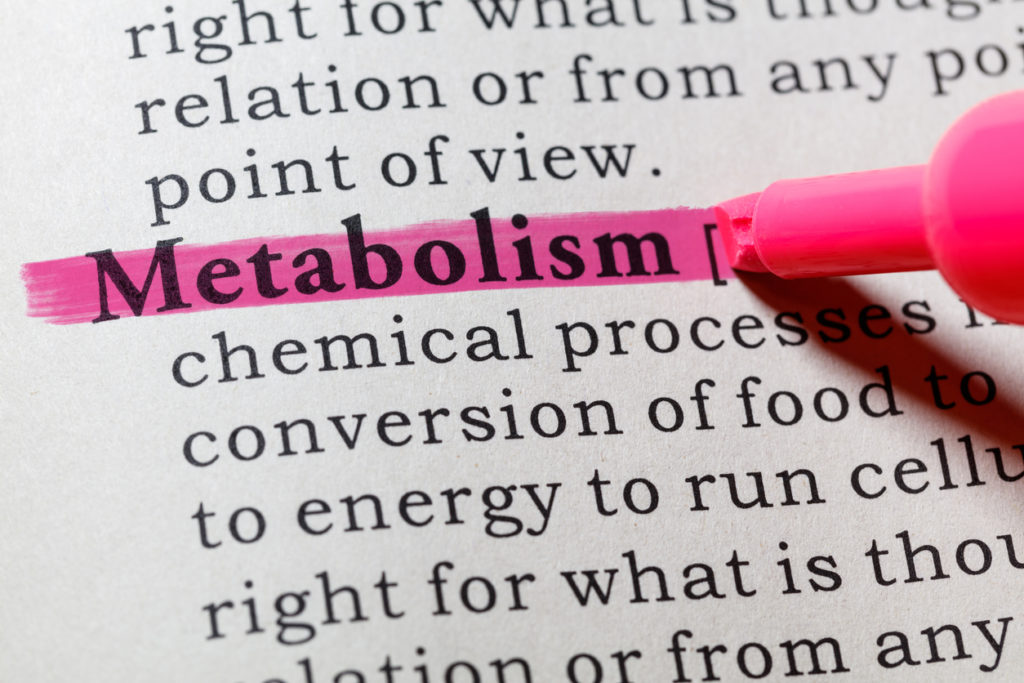 metabolism
