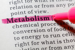 metabolism